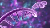 Bayer: Aktienreport‑Tipp Alnylam nicht zu bremsen – Bayer überholt